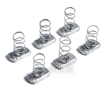 ���ɹ̶���ĸ